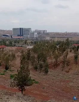 بیمارستان فوق تخصصی قلب نور قم