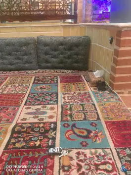عکس سفره خانه سنتی باغ صبا در زنبیل آباد قم 7
