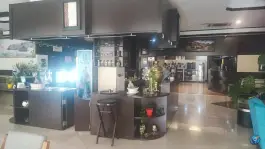 عکس هتل آساره در محله جمالزاده تهران 3