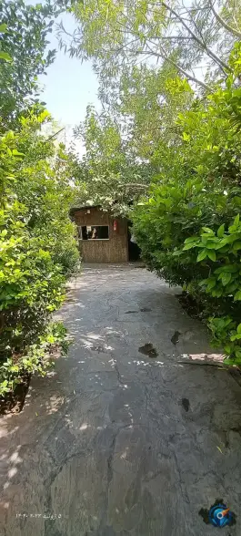 عکس رستوران سپیدار شهران تهران 4
