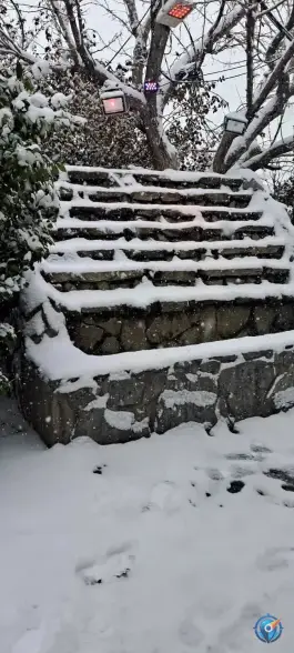 عکس رستوران سپیدار شهران تهران 6