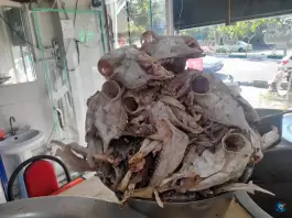 عکس طباخی دوستان تهران 3
