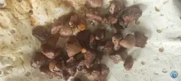 عکس جگرکی اسوه در محله علی آباد سعدگان قم 4