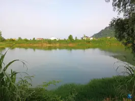 عکس استخر ماهی طبیعی لیلاکوه لنگرود 8