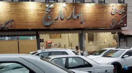 عکس جگرکی بهارنارنج در کوی بیمه تهران 2