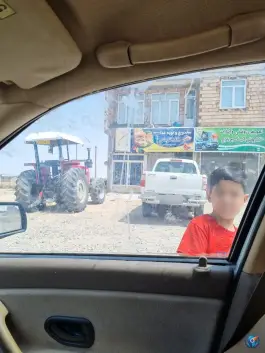 عکس های ساندویچ کاکتوس جغتای