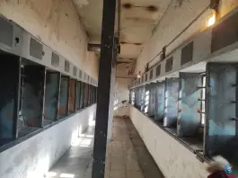 عکس عمارت کلاه فرنگی قصر در محله قصر تهران 5