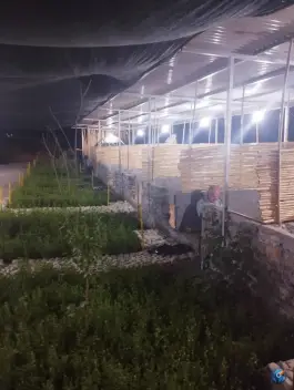عکس سفره خانه سنتی سیروان در سروآباد 3