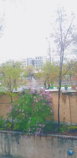 عکس دانشگاه فرهنگیان پردیس شهید باهنر در محله سعدی شهرکرد 2