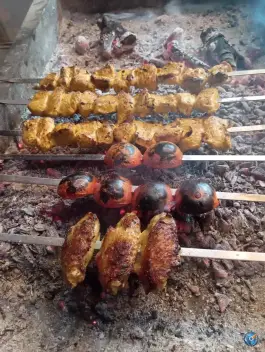 عکس جوجه کبابی دایی محسن در زارچ 5