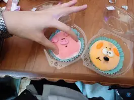 عکس رستوران کره ای هانل، یاسمن، قم 3