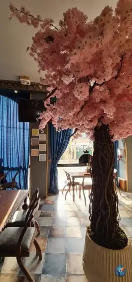 عکس رستوران کره ای هانل، یاسمن، قم 7
