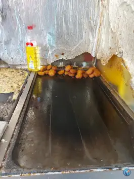 عکس فلافل معرکه در محله گلستان تهران 8