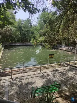 عکس استخر جنوبی پارک وکیل آباد، کوهستان پارک، مشهد 2