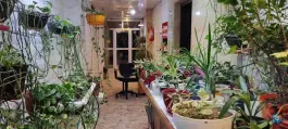 عکس استخر راشا در محله کیانپارس اهواز 5