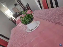 عکس عمارت اکرم خان در محله یادگار امام نهبندان 3