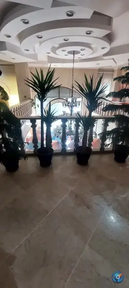 عکس فست فود قصر در محله میرزائیه قم 5
