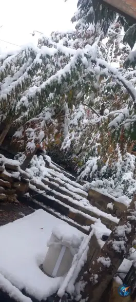 عکس کباب و دیزی سرای علی میرزا، جاده توسکستان گرگان 2