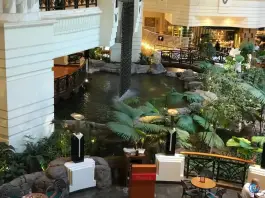 عکس رستوران لوتوس در جاده ملارد کرج 7