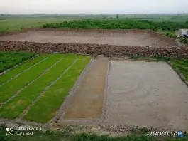عکس باغ و استخر ماهی برادران نارویی علی آباد کتول 2
