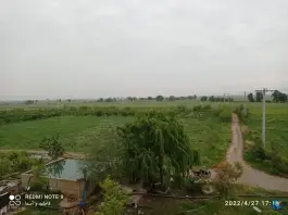 عکس باغ و استخر ماهی برادران نارویی علی آباد کتول 3
