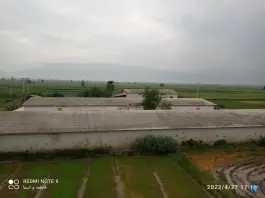 عکس باغ و استخر ماهی برادران نارویی علی آباد کتول 8