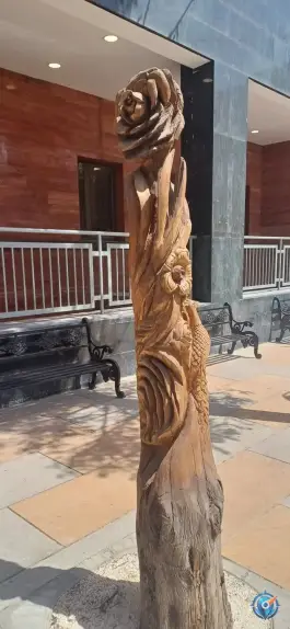 عکس بیمارستان روانپزشکی ایران «ملوک مطهری» در شهرک آزادی تهران 2