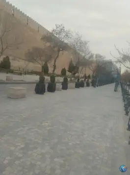 عکس رستوران قلعه کریم خانی در محله میدان گاز شیراز 5