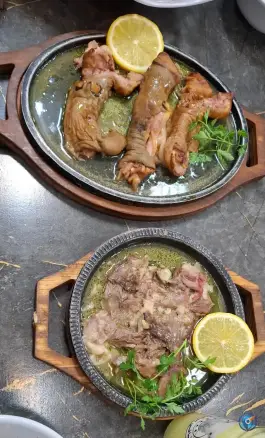 عکس طباخی VIP سفید بره در محله کوشش مشهد 4