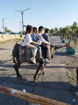 عکس اقامتگاه بوم گردی و اردوگاه رهتاب طرقبه مشهد 5