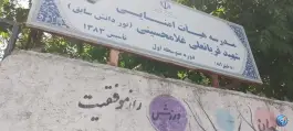 عکس مدرسه هیات امنایی نور دانش بابلسر، فلسطین 4