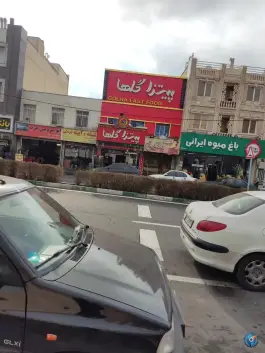 عکس پیتزا گلها در محله گلستان تهران 5