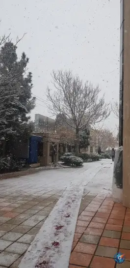 عکس هتل شایستگان «کیمیای سابق» بلوار نامجو مشهد 7