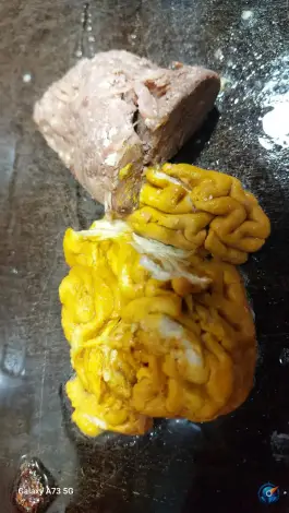 عکس ساندویچ مترو در محله ده دی مشهد 4