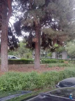 عکس بیمارستان گلستان نداجا در پاسداران، تهران 6