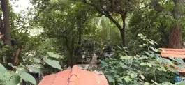 عکس سفره خانه سنتی نیلوفر آبی شهران تهران 4