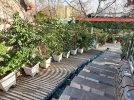 عکس سفره خانه سنتی نیلوفر آبی شهران تهران 6