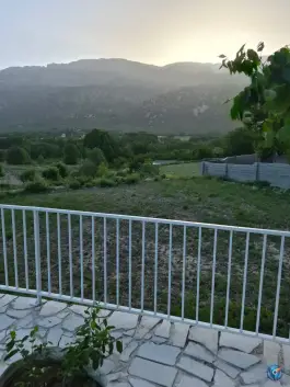 عکس تفرجگاه شالیزار شیراز 10