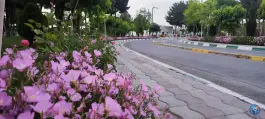 عکس بیمارستان فوق تخصصی رضوی در محله آزادی مشهد 2