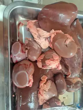 عکس جگرکی طاها ممسنی 7