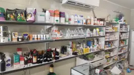 عکس داروخانه دامپزشکی خانم دکتر هاشمی در محله انرژی اتمی اصفهان 6