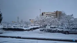 بیمارستان آموزشی و درمانی ولایت در بلوار ۲۲ بهمن قزوین
