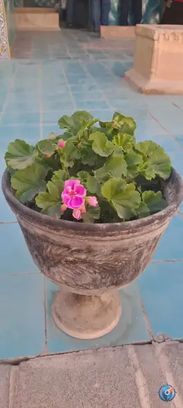 عکس مقبره خواجه نظام الملک و مقبره ملکشاه سلجوقی، پاچنار، اصفهان 8