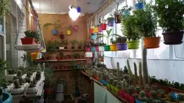 عکس هتل آپارتمان اردیبهشت در هزار جریب اصفهان 2
