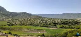 عکس استخر پرورش ماهی سرپل ذهاب 2
