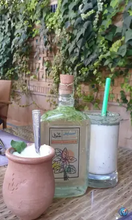 عکس مجتمع گردشگری پدیده صوفی در رضوان شیراز 2