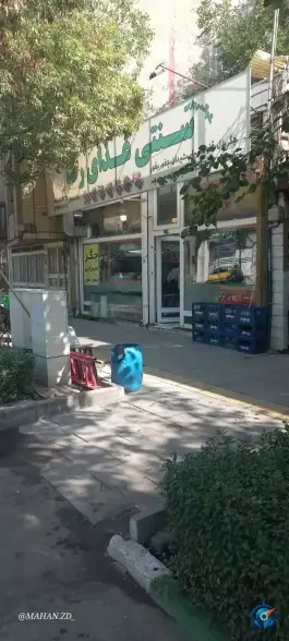 عکس های سنتی غذای رضا در محله شهید محسن کاشانی مشهد
