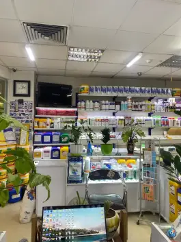 عکس داروخانه دامپزشکی دکتر ابراهیمی، شهرک امام هادی مشهد 4