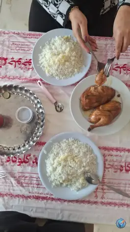 عکس های چلو اکبر جوجه میامی در میامی