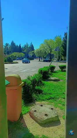 عکس دانشگاه شیراز در محله ابیوردی شیراز 9